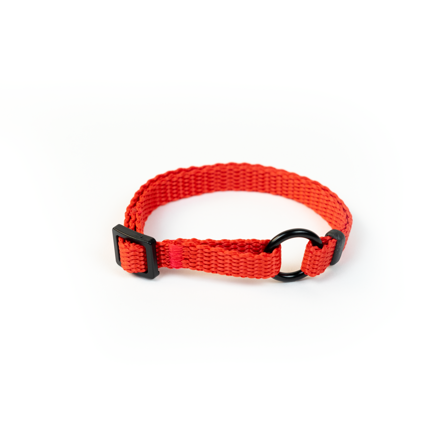 PET ID LACE