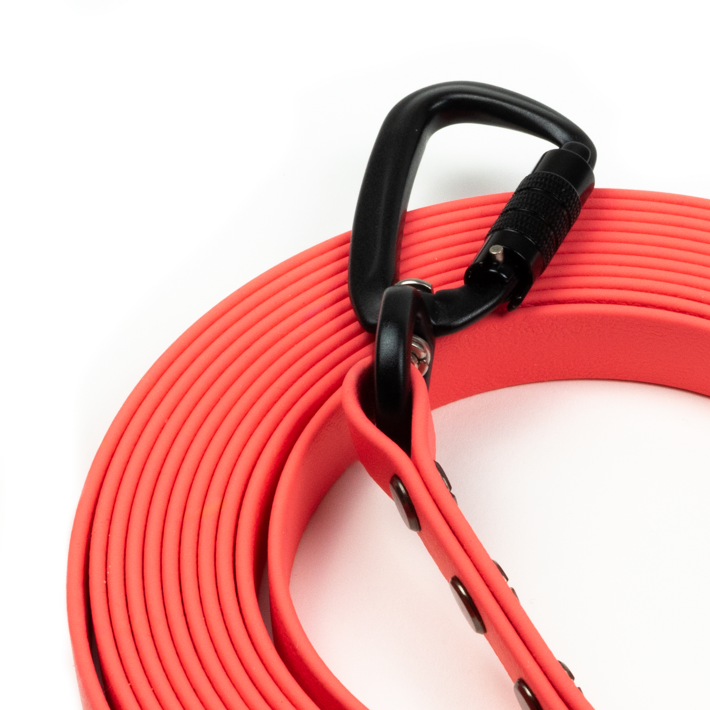 BIOTHANE LEASH | PINK