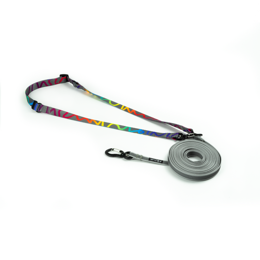 HANDS-FREE RUBBERIZED LEASH | GREY RAINBOW