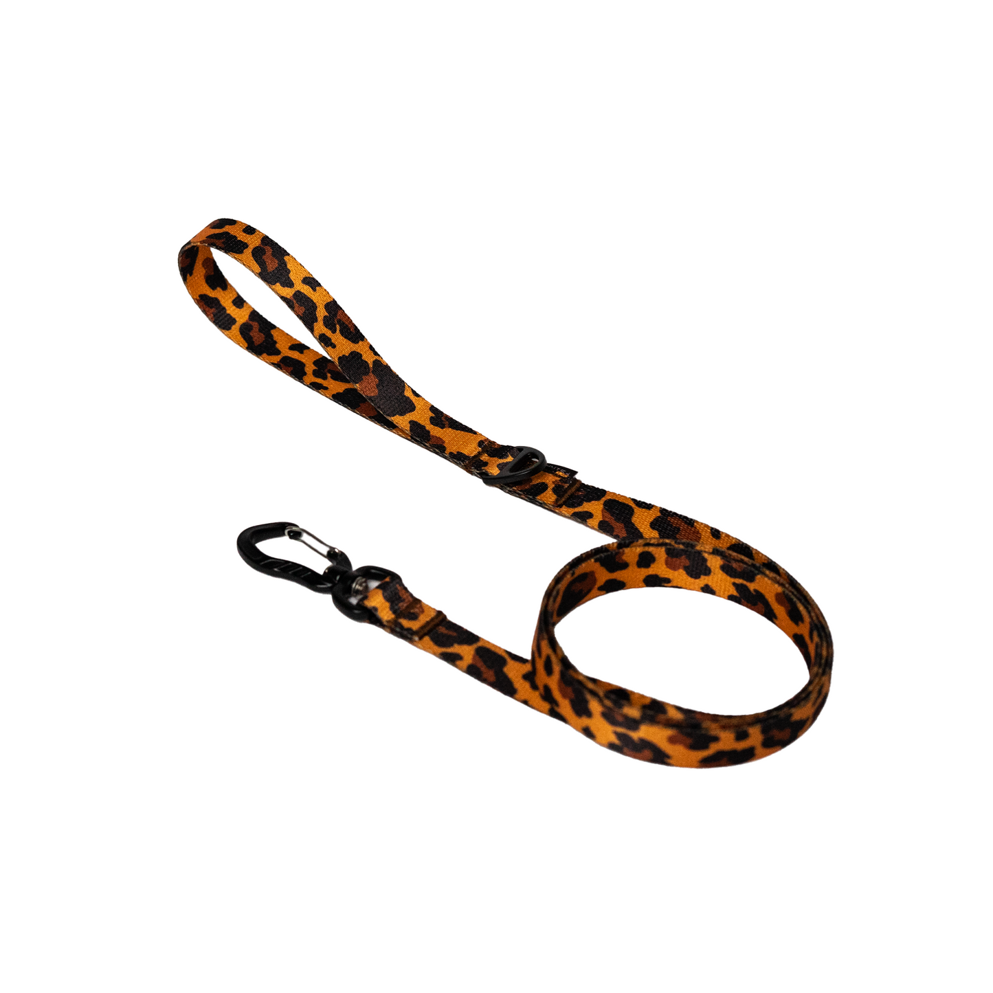 LEASH