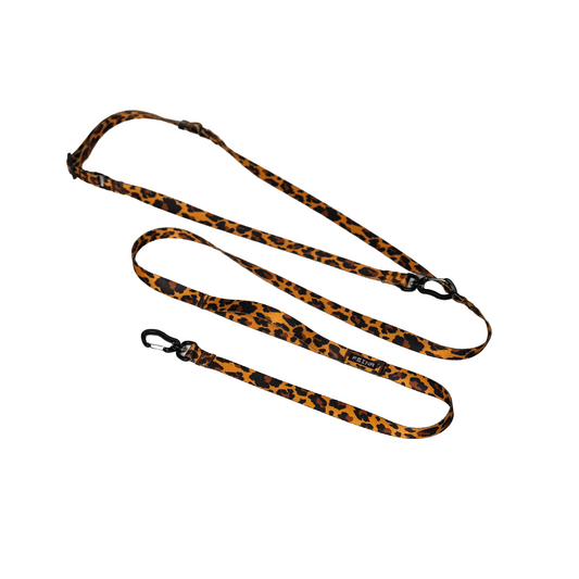 HANDS-FREE LEASH