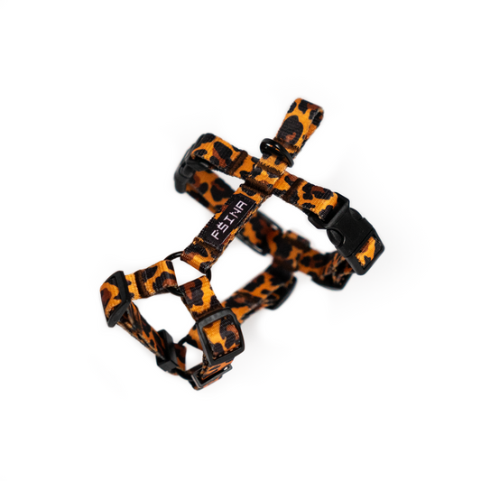 HARNESS