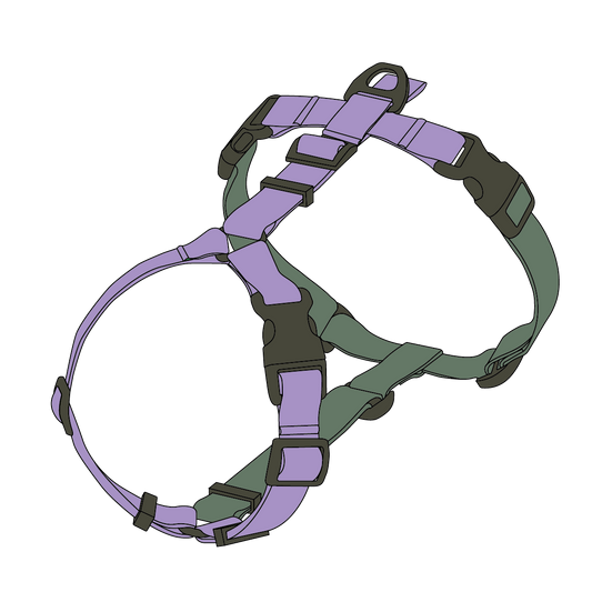 DOUBLE-COLORED HARNESS