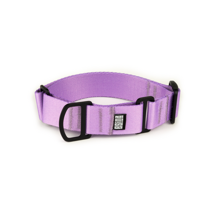 MARTINGALE
