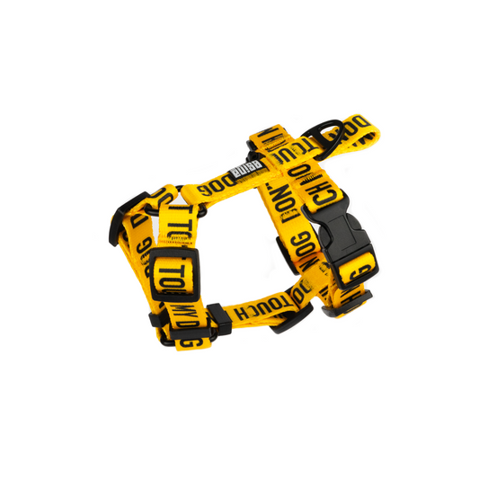 HARNESS