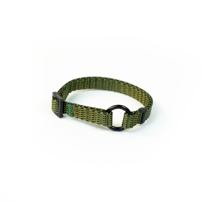 PET ID LACE