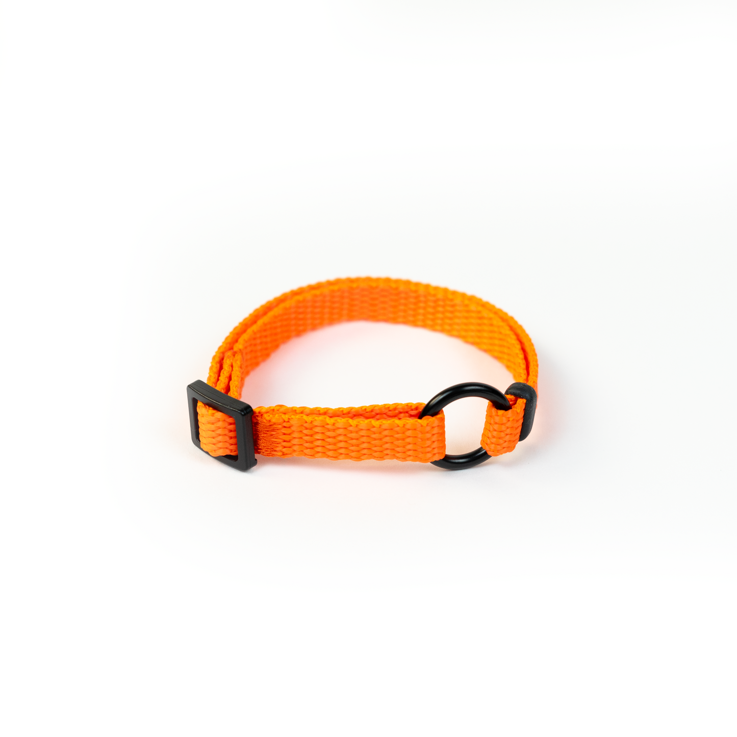 PET ID LACE