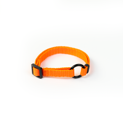 PET ID LACE