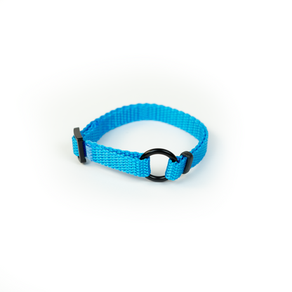 PET ID LACE