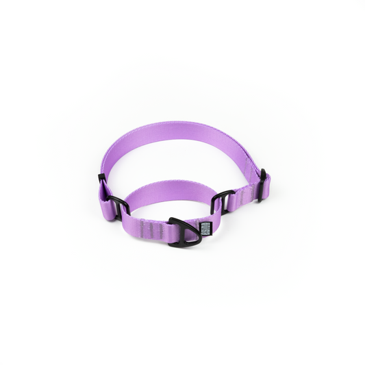 MARTINGALE