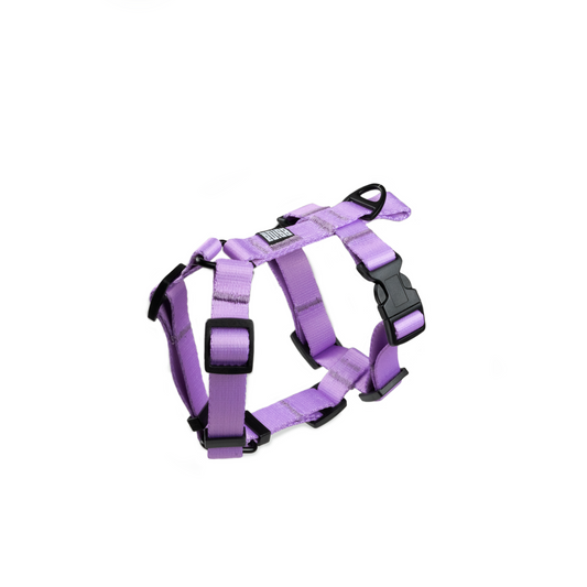HARNESS
