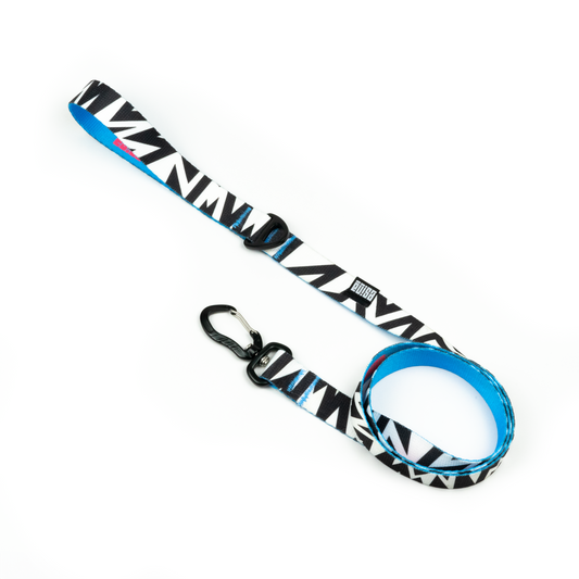 LEASH