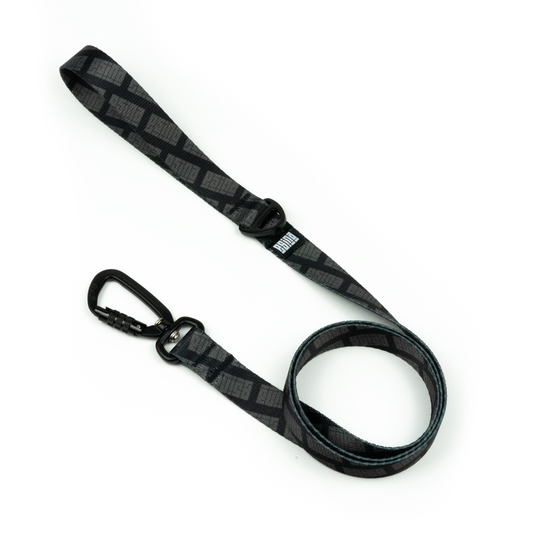 LEASH