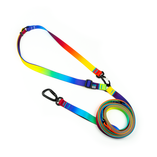 HANDS-FREE LEASH