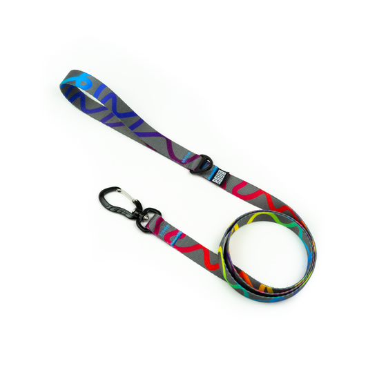 LEASH