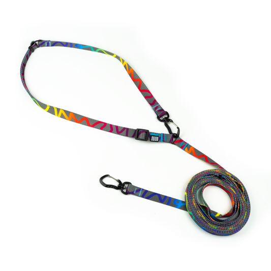 HANDS-FREE LEASH