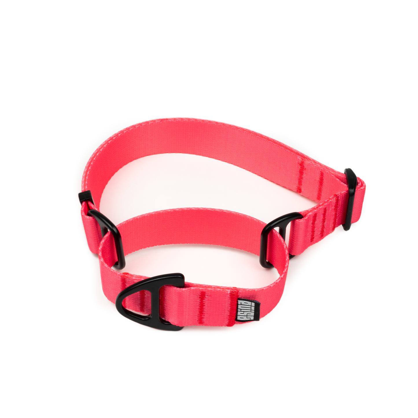 MARTINGALE