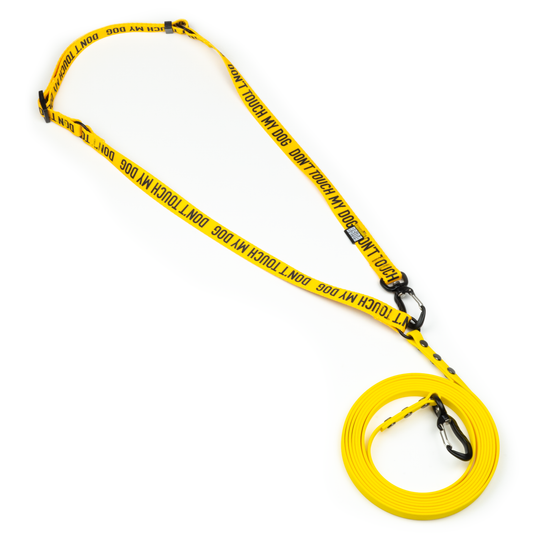 HANDS-FREE BIOTHANE LEASH