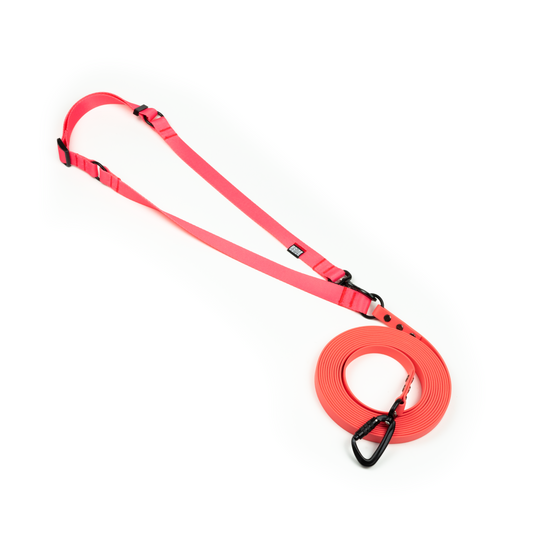 HANDS-FREE BIOTHANE LEASH