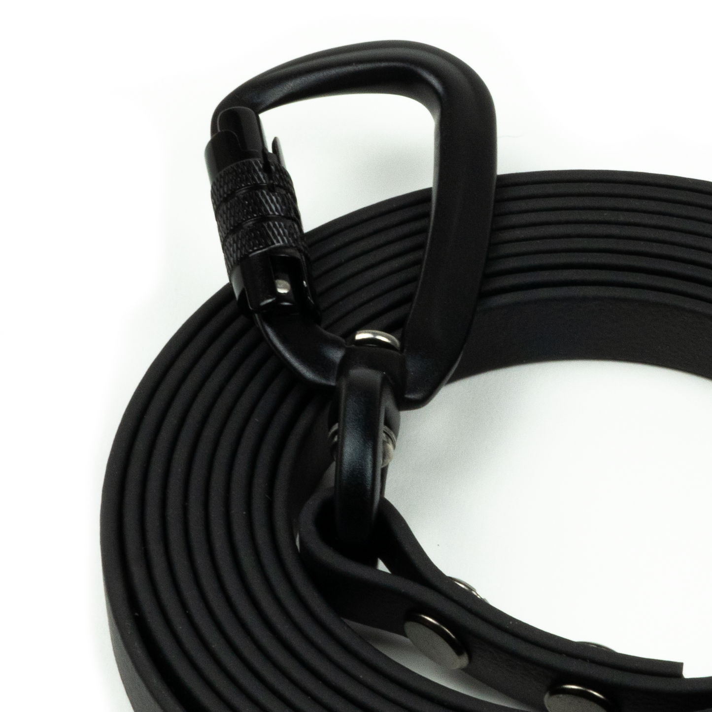 BIOTHANE LEASH | BLACK