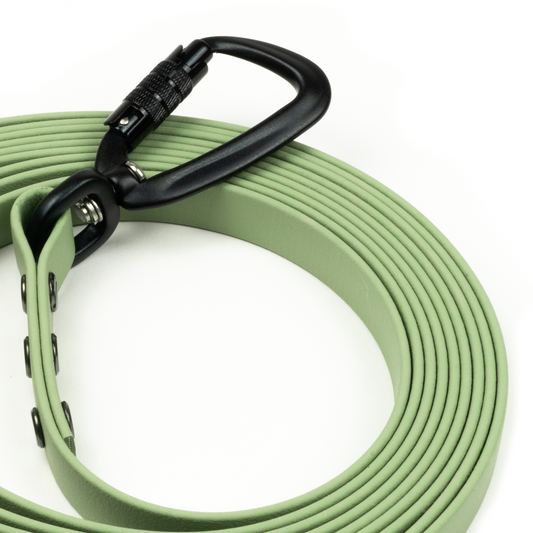 BIOTHANE LEASH | GUACAMOLE