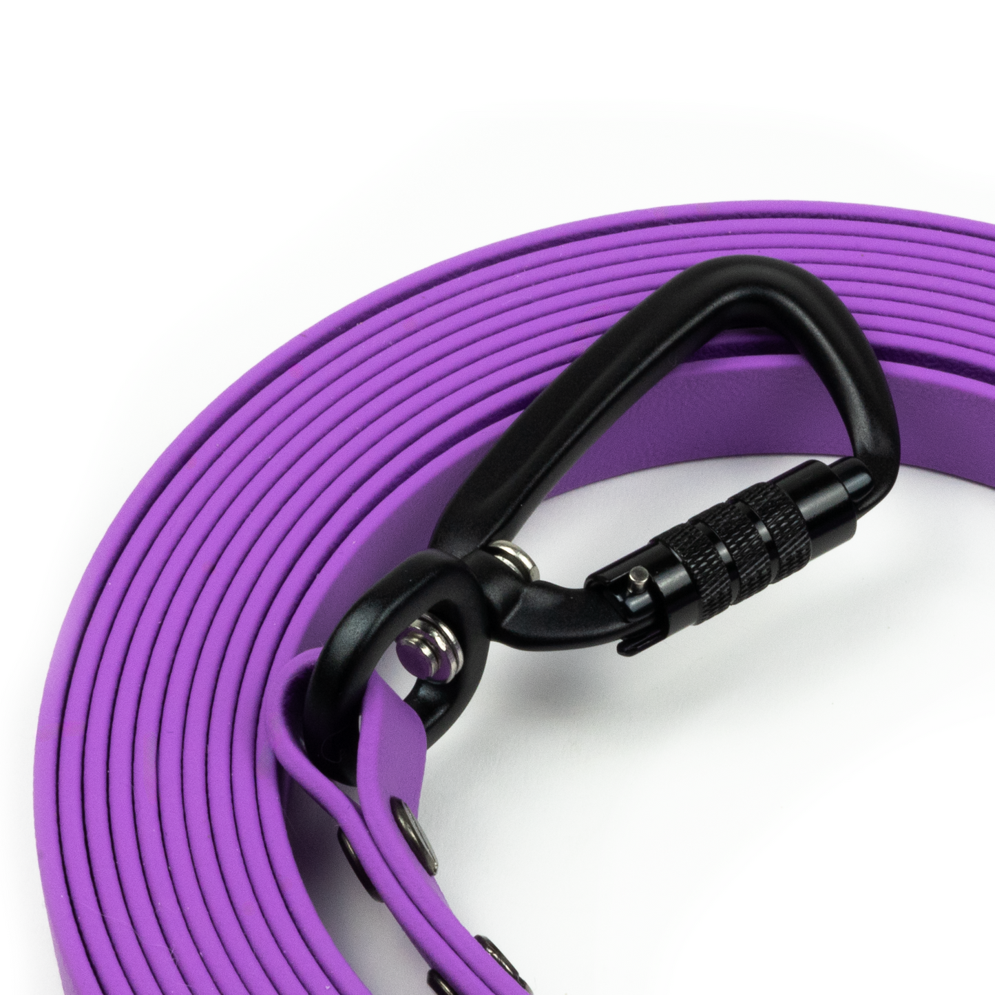 BIOTHANE LEASH | VIOLET