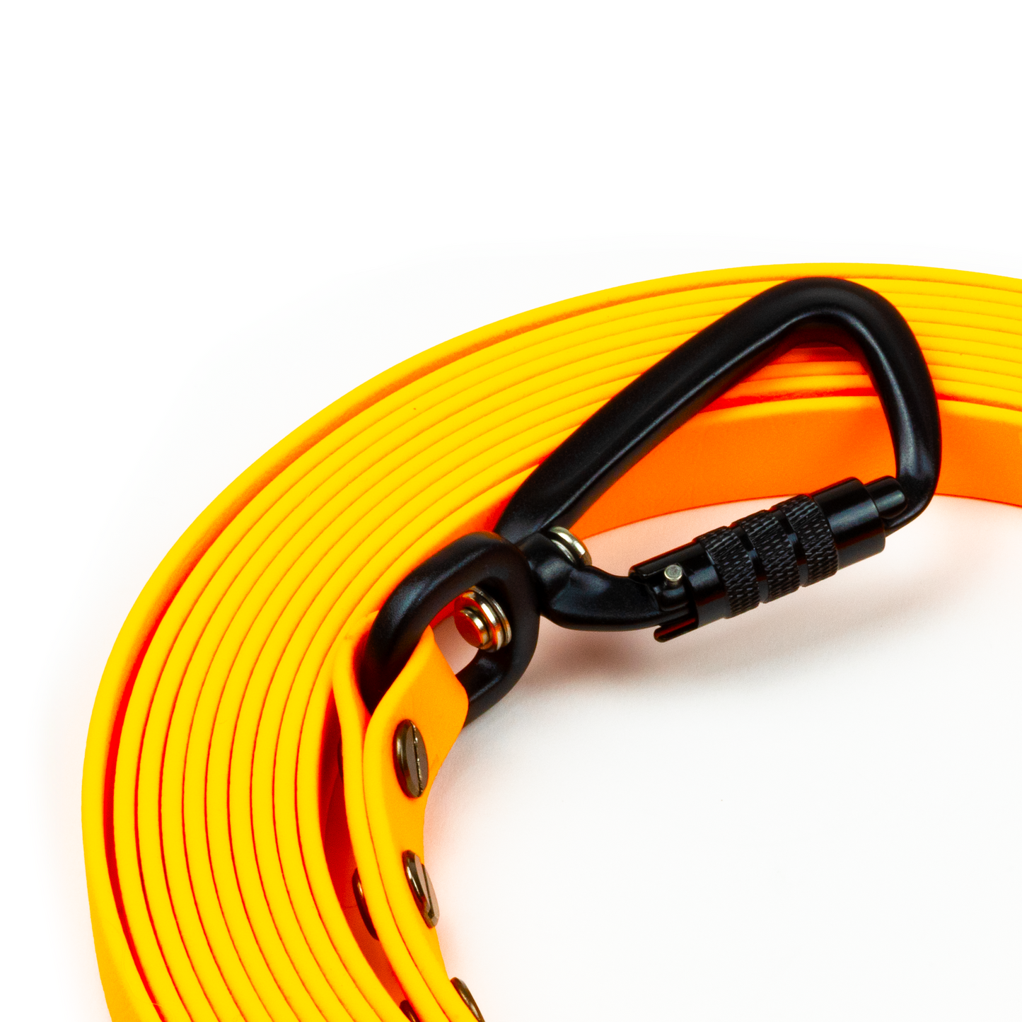 BIOTHANE LEASH | ORANGE