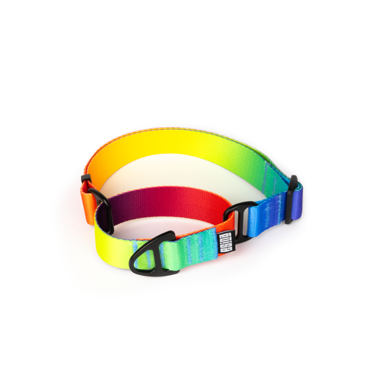 MARTINGALE