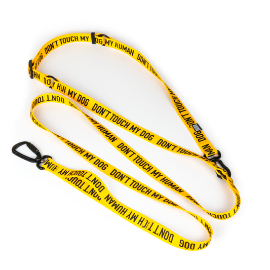 HANDS-FREE LEASH
