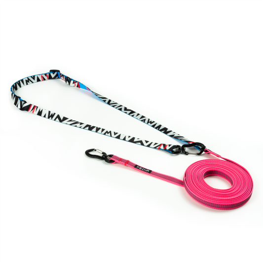 HANDS-FREE RUBBERIZED LEASH | PINK ZEBRA