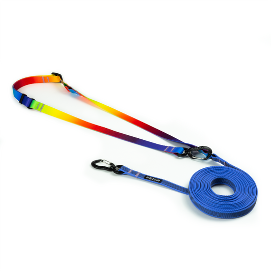 HANDS-FREE RUBBERIZED LEASH | AZURE RAINBOW