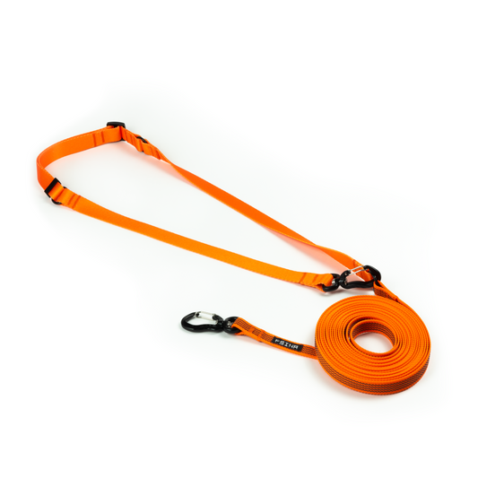 HANDS-FREE RUBBERIZED LEASH | ROYAL ORANGE