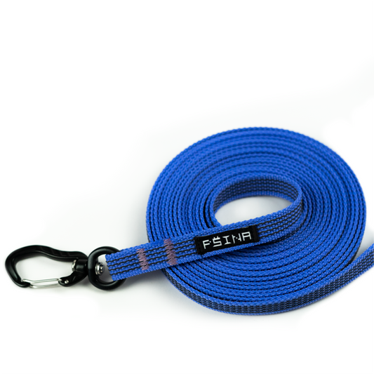 RUBBERIZED LEASH | AZURE RAINBOW