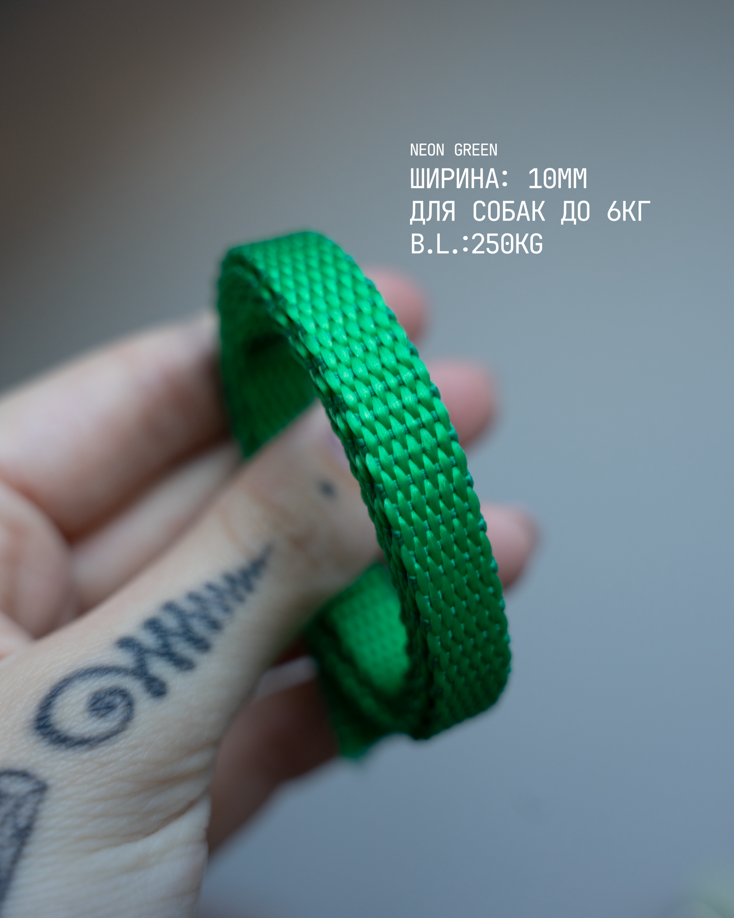 PRINTLESS HANDS-FREE LEASH