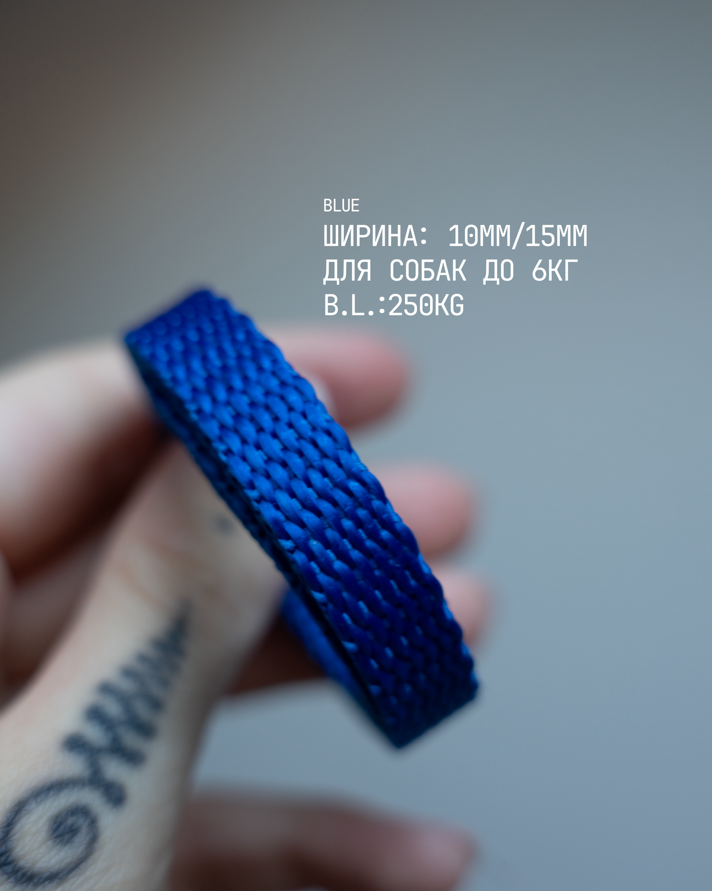 PRINTLESS HANDS-FREE LEASH