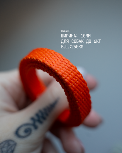 PRINTLESS HANDS-FREE LEASH