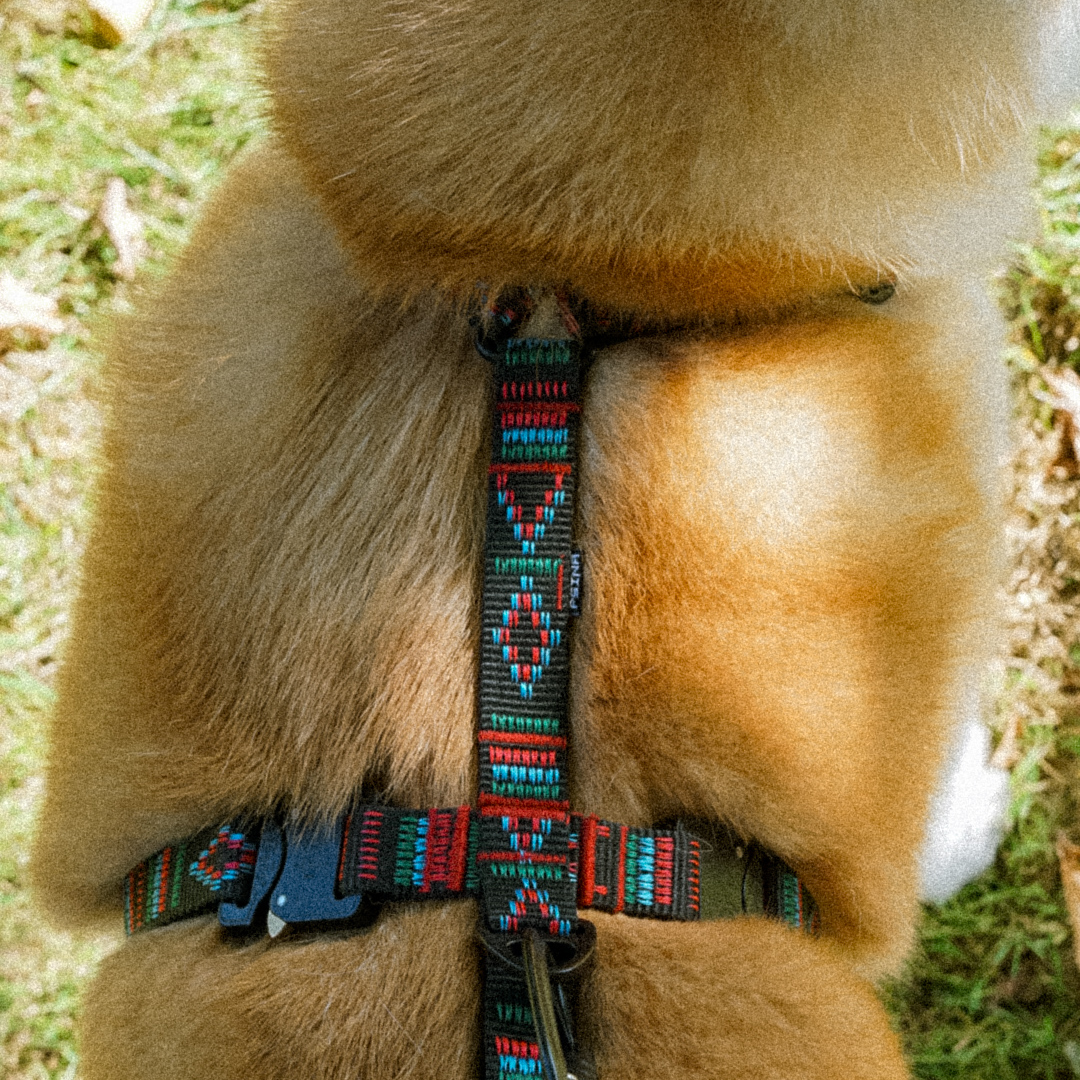 PRINTLESS HARNESS (for medium-sized dogs)