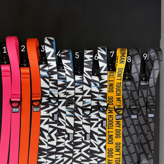 REGULAR LEASHES 25mm