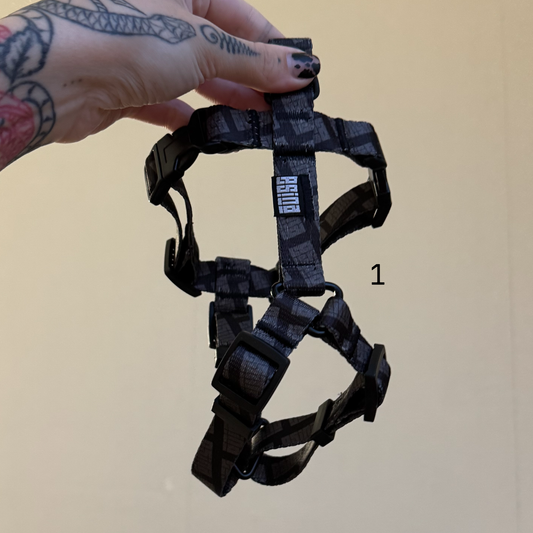 HARNESSES