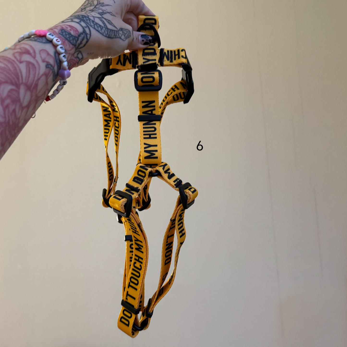 HARNESSES