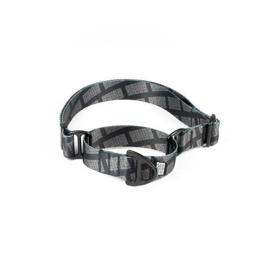 MARTINGALE