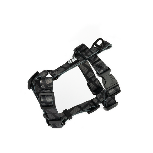 HARNESS