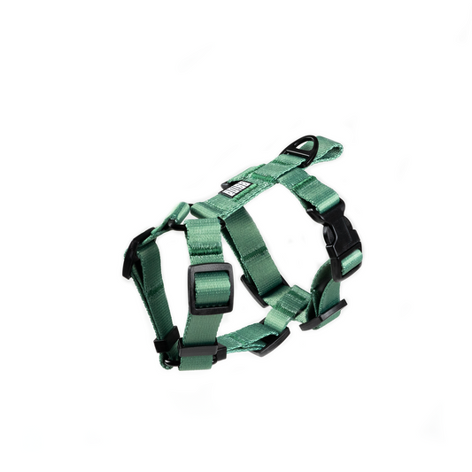 HARNESS