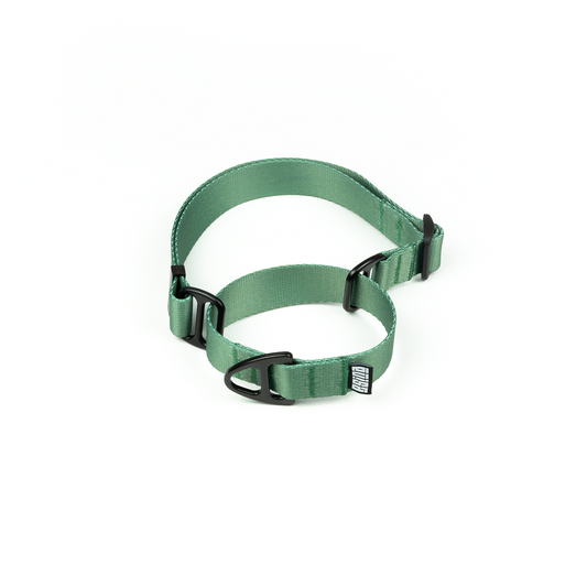 MARTINGALE