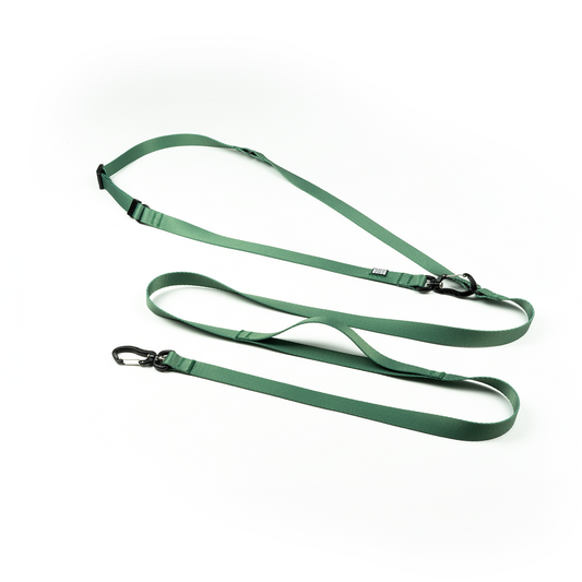 HANDS-FREE LEASH