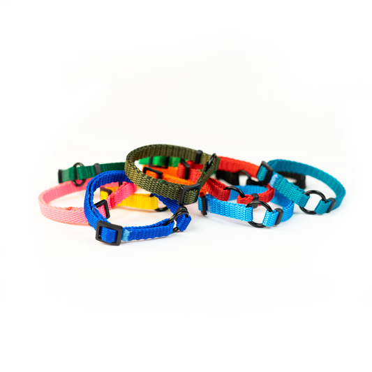 PET ID LACE