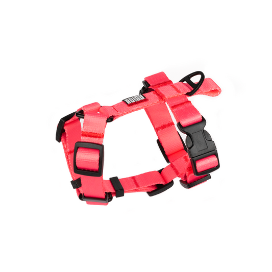 HARNESS