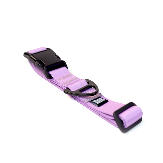 COLLAR