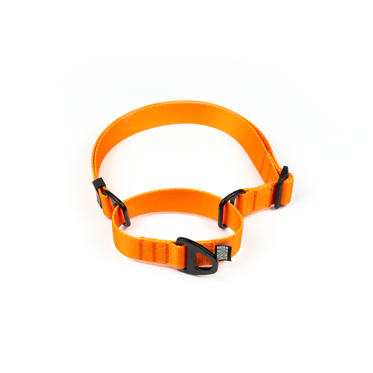 MARTINGALE