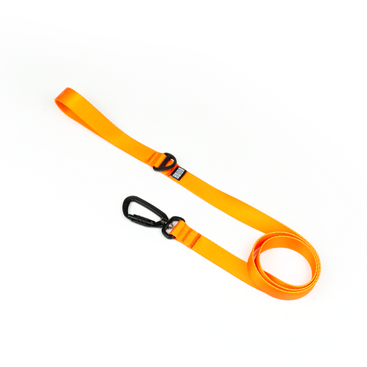 LEASH